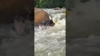 WHITE WATER #kayaking #river #rafting #travel #waterfall #kithulgala #srilanka #1millionviews