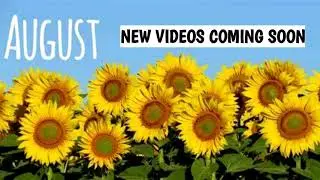 AUGUST COME BACK