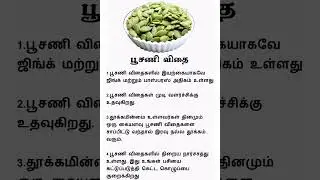 Pumpkin Seeds Benefits | Tamil Tips | Tamil Health | #shorts #shortsfeed #trending