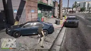 Arrest Report Dash Cam & BWC