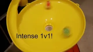 Marble Race 1v1 - Tulip vs Grasshopper