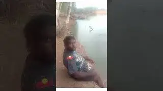 Wanna come croc spotting with me. #crocodile #like #aboriginal #australia #wildlife #comedy #funny
