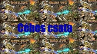 Shakes & Fidget [W14] C&eacute;hes csata | Hungarian Fighters vs Justice