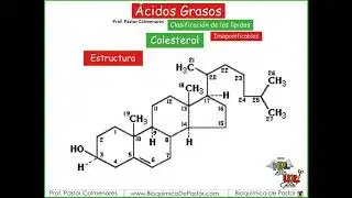 Esteroides | Ácidos grasos Parte XIV
