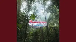 Serene Rainfall Whispers in the Enchanted Forest