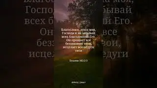Этот канал &mdash; напоминание о живом Боге и надежде, которая не постыжает