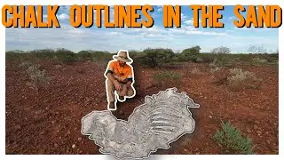 Burning Question: What happens to the dead camels?