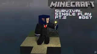 Minecraft Singleplay Singleplay Pt.2 # 067 (No Commentary)