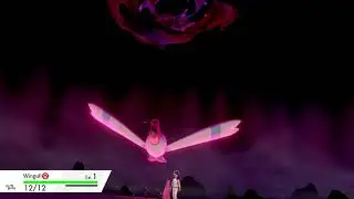 Dynamax Wingull Cry | Pok&eacute;mon Sword