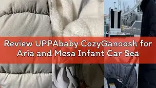 Review UPPAbaby CozyGanoosh for Aria and Mesa Infant Car Seat Carriers/Ultra-Plush, Weather-Proof/Ch