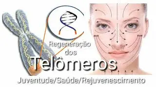 Regenera&ccedil;&atilde;o dos Tel&ocirc;meros Reverter o processo de envelhecimento e cura para tudo.(Cure All)