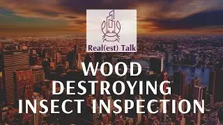 🐛 Wood Destroying Insect Inspection 🐜