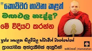 භාවනාව ඉක්මනින්ම වඩන්න මෙන්න ක්‍රමය | Ven Hasalaka Seelawimala Thero