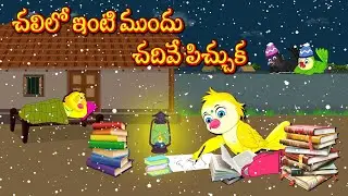 చలిలో ఇంటి ముందు చదివే పిచ్చుక | Telugu Moral Stories | Telugu Stories | Fairy Tales | Bujji Birds