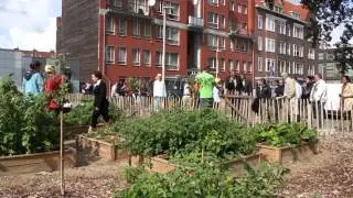 Marnixplein word Groener