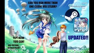[🟢 UPDATED] Mobile Wonderland Online - Updated Multi-Client Patch for Steam (to use more accounts)