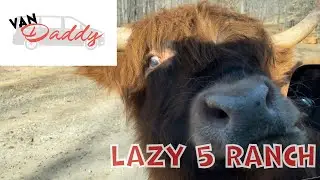 Lazy 5 Ranch (zoo)