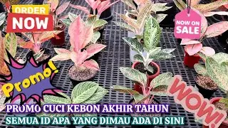 PROMO CUCI KEBON! SEMUA ID YANG DICARI ADA DI SINI DENGAN HARGA MURAH KUALITAS BUKAN MAIN. Eps 1536