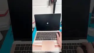 Как сбросить пароль MacBook (M1 и выше) | Работает и на старых MacBook!