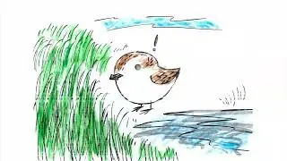 The Journey of Spoon-billed Sandpiper