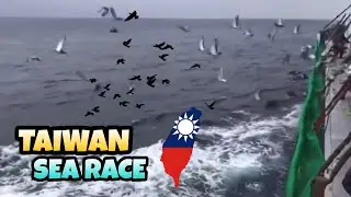 TAIWAN PIGEON SEA RACE