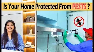 Pest control During Interior design Process | Cockroach control | GoldSeal&reg;️ Service By Rentokil PCI