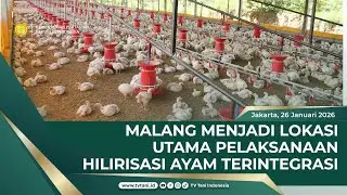Tingkatkan Sinergitas, Kementan Laksanakan Program Hilirisasi Ayam Terintegrasi