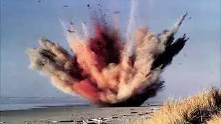 Whale just exploded on a ship of nowhere 🔥🔥