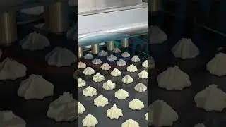 Semi automatic cookie machine #biscuits #machine