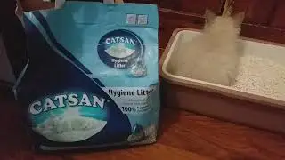 Catsan cat litter review, for our ragdolls and britishshorthair cata and kittens