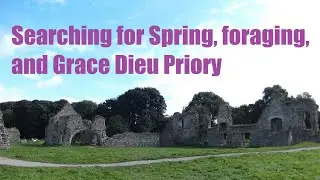 Searching for Spring and Grace Dieu Priory - Charnwood Forest