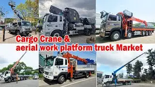 Used Cargo Crane & Aerial Work Platform Truck Korea | КМУ и автовышка из Кореи-2011y dongyang2036-8T