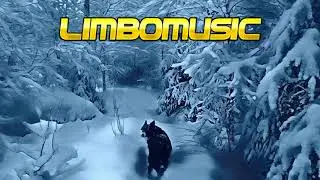 LIMBOMUSIC - Travelfever