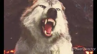 Twilight Wolves-Stand By You