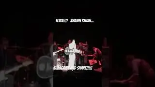 Elvis (Shawn Klush)