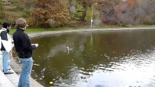 First Panther Hollow Test - vid1