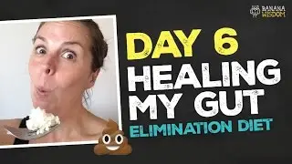 Day 6  |  Elimination Diet: Healing Gut Inflammation