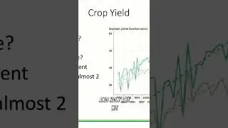 From The Field, E.4 - Maximizing Crop Yield, Insights from the Last 40 Years