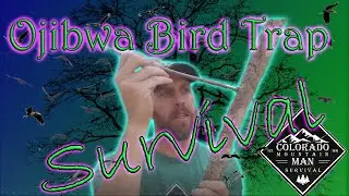 Ojibwa Bird Trap