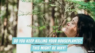 Do you keep killing your houseplants? This might be why!
