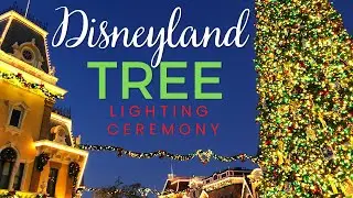 Disneyland Christmas Tree Lighting on Main Street USA