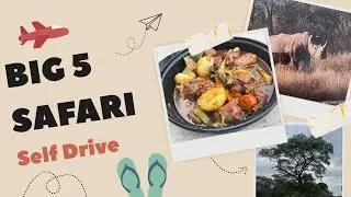 Self-Drive Safari Adventure | Exploring Dinokeng Game Reserve's Wildlife