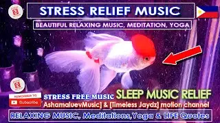 ZEN Soothing Music for Meditations, Yoga, Healing Therapy & LIFE Quote.