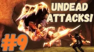 I'm starting to hate catacombs. too | Ninja Gaiden