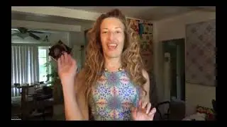 2025 2 level 1 lesson 4 organic and inorganic beings