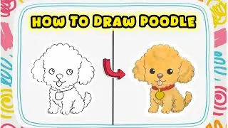 How to Draw a Little Poodle &ndash; Dog Breed Drawing Masterclass