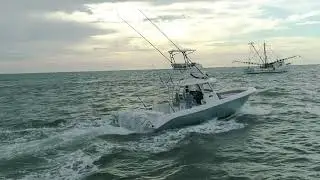 Everglades 365CC