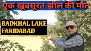 #BADKHALLAKE #BADKHALJHEEL #FARIDABAD फरीदाबाद की पहचान बड़खल झील क्यों सूख गयी ?