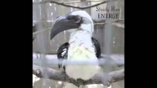 Energy - Steady Hum