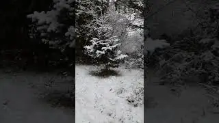 Un instant de paix sous la neige ❄️  La main tendue   #Soochrys